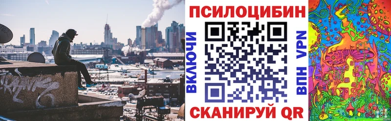 закладка  Губкинский  блэк спрут как зайти  Галлюциногенные грибы ЛСД 